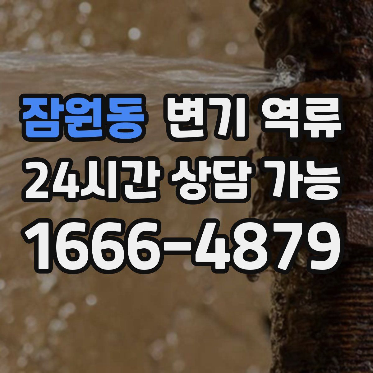 잠원동 변기 역류