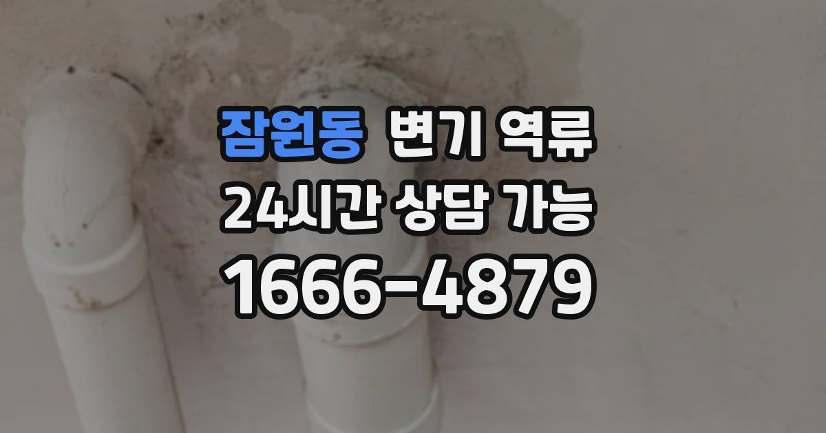 잠원동 변기 역류