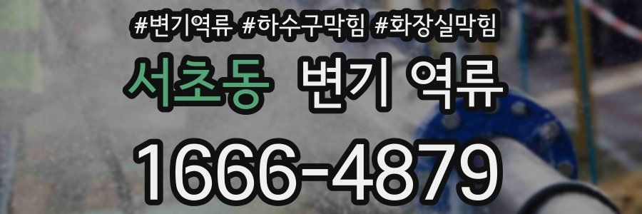 서초동 변기 역류