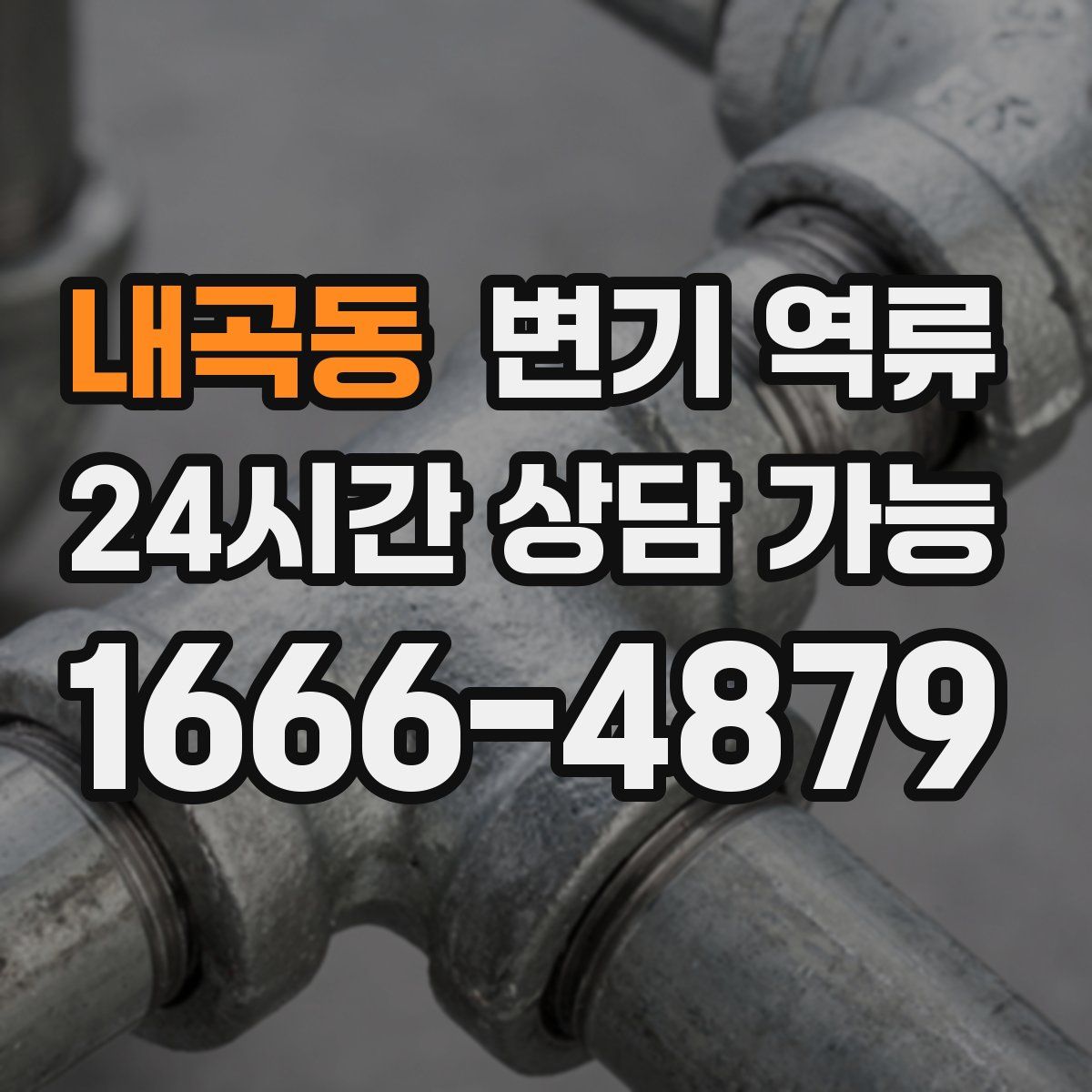 내곡동 변기 역류