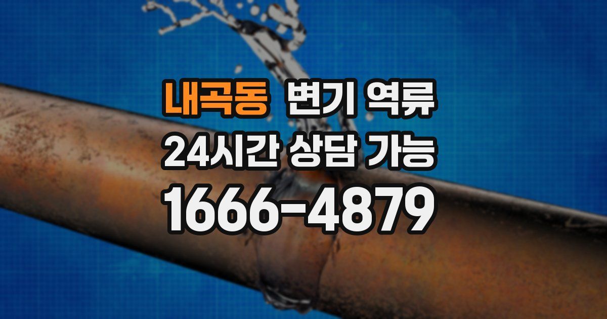 내곡동 변기 역류