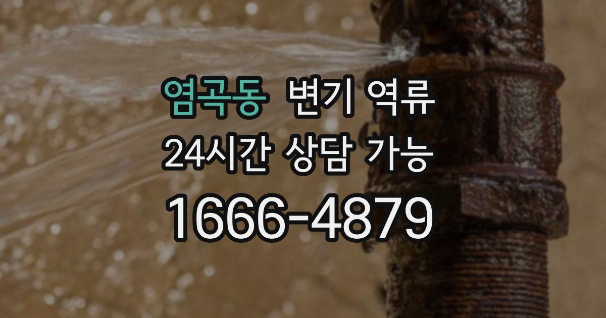 염곡동 변기 역류