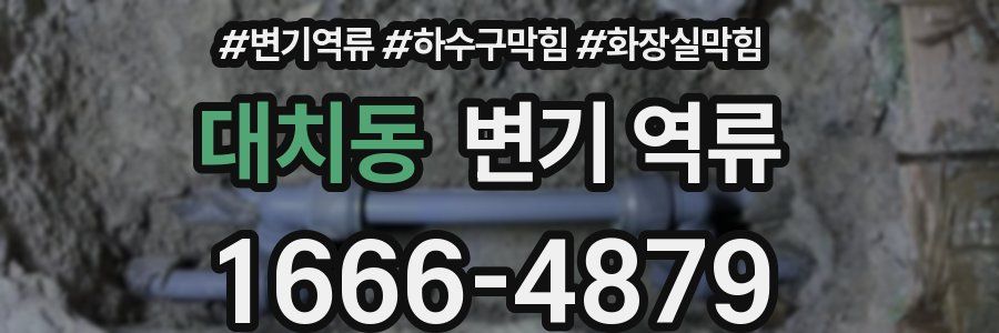대치동 변기 역류