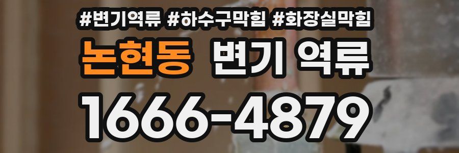 논현동 변기 역류