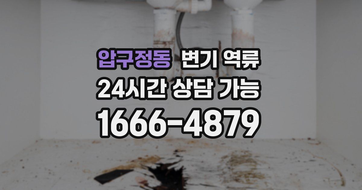 압구정동 변기 역류