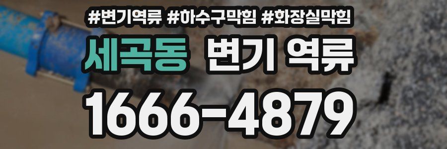 세곡동 변기 역류