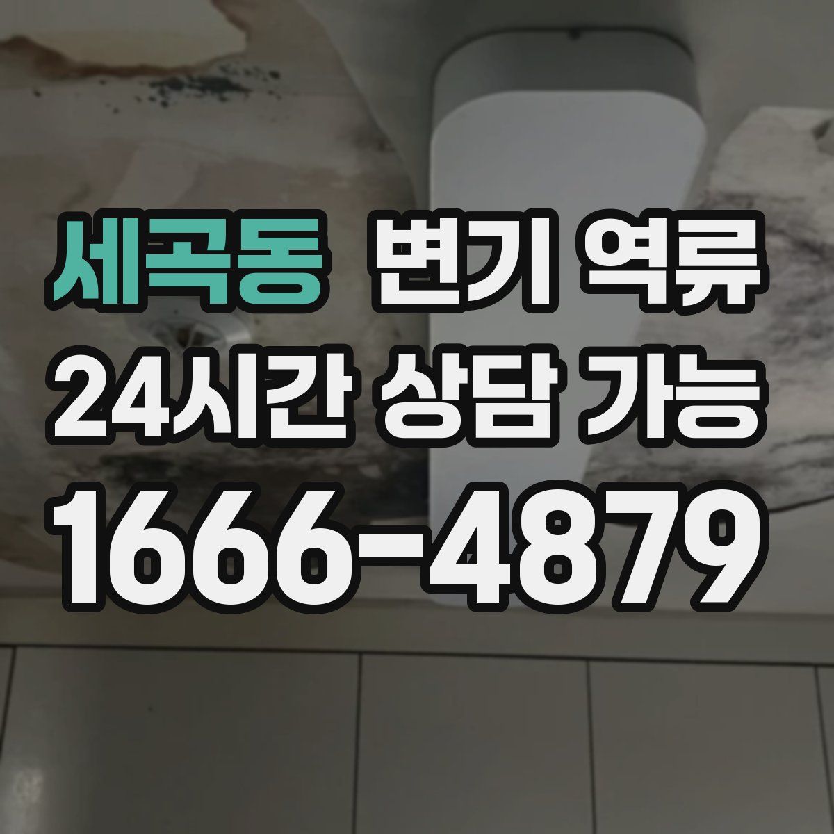 세곡동 변기 역류