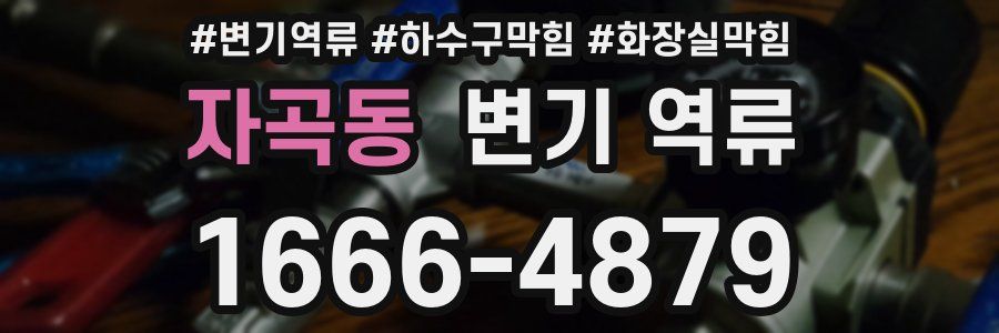 자곡동 변기 역류