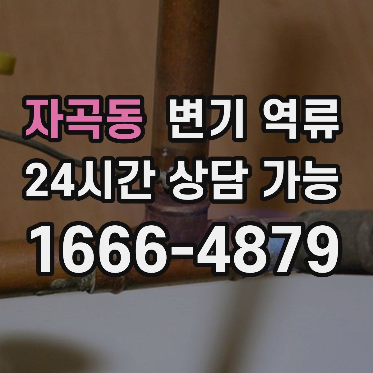 자곡동 변기 역류