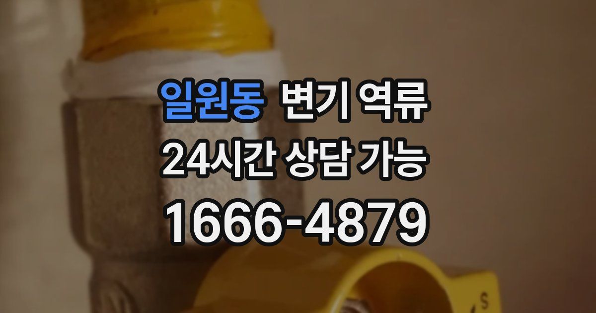 일원동 변기 역류