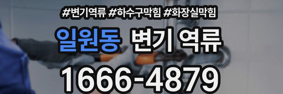 일원동 변기 역류