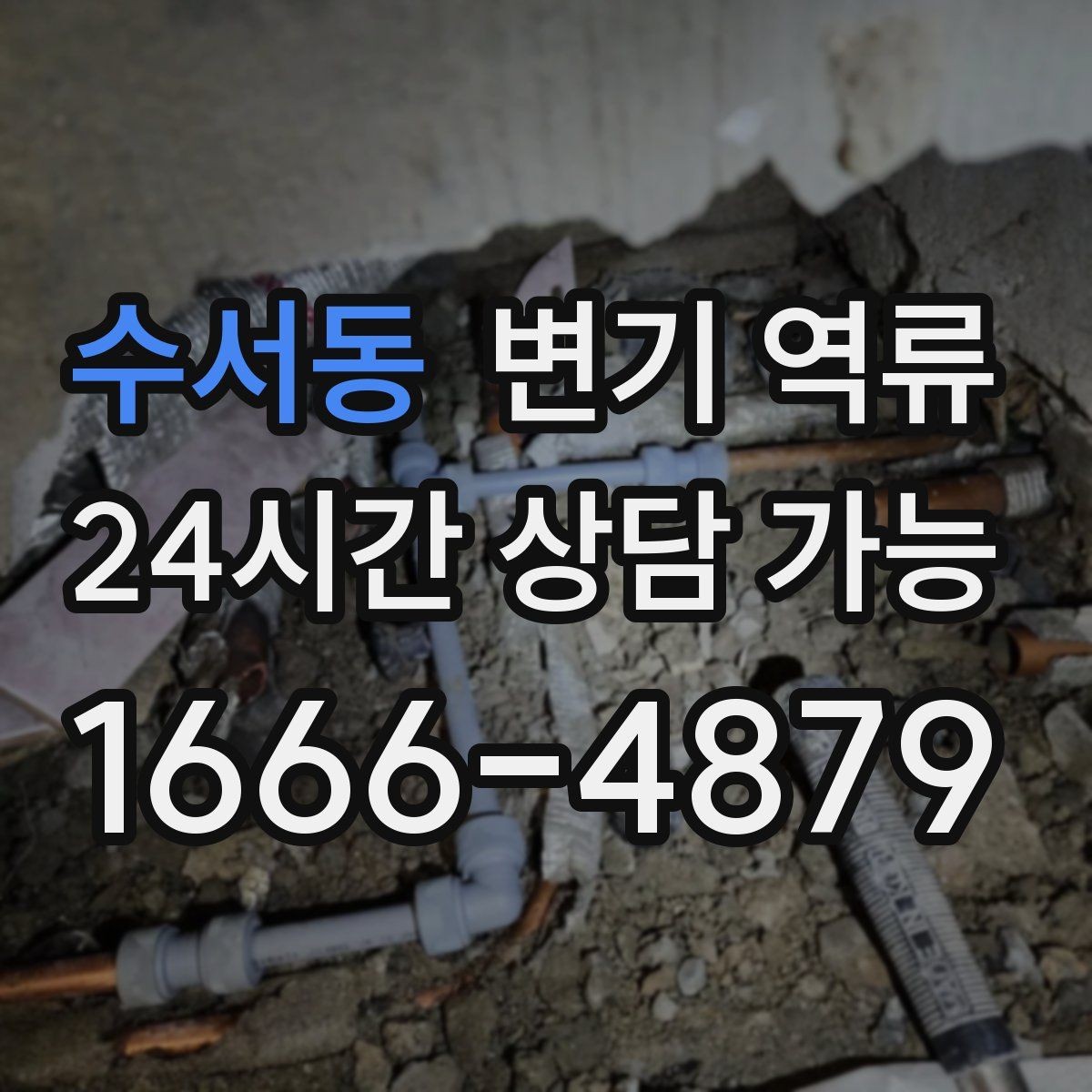 수서동 변기 역류 세대 배관 문제인지 공용 배관 문제인지 구분