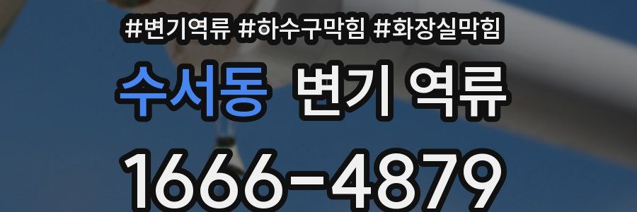 수서동 변기 역류