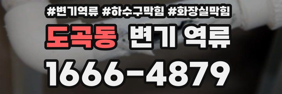 도곡동 변기 역류