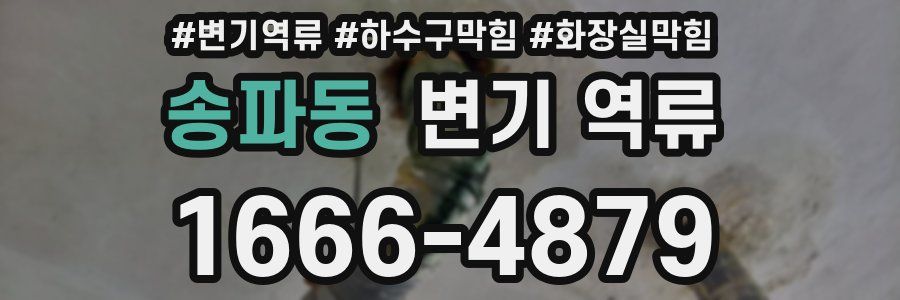 송파동 변기 역류