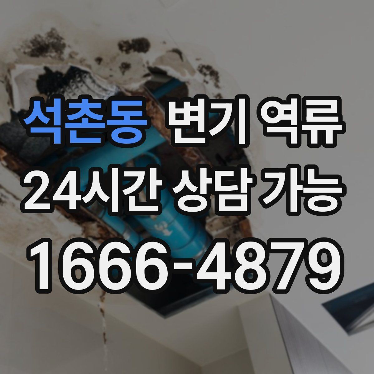 석촌동 변기 역류 한 세대만 발생할 때 점검 순서