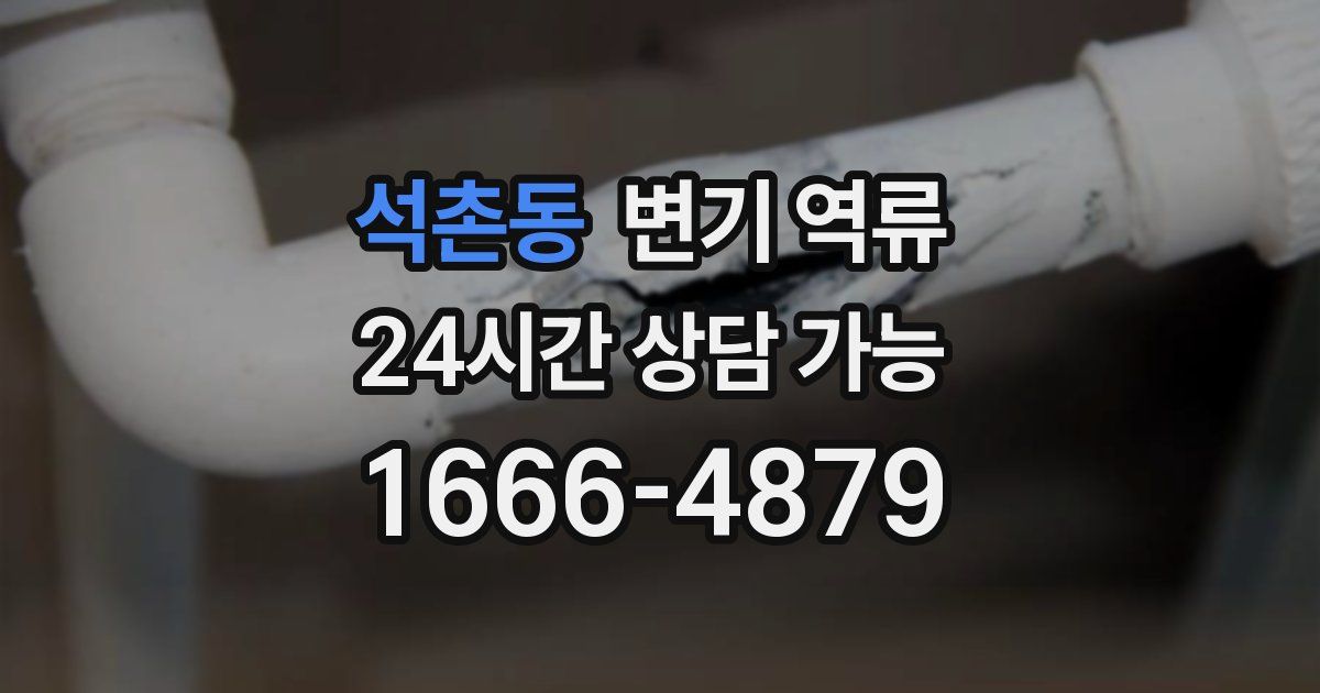 석촌동 변기 역류