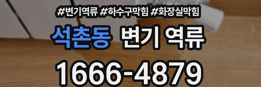 석촌동 변기 역류