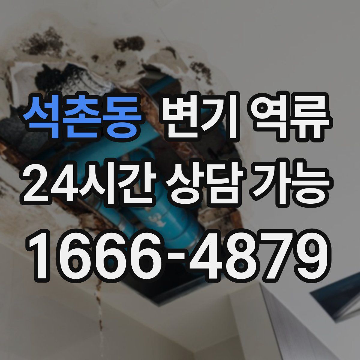 석촌동 변기 역류