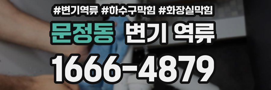 문정동 변기 역류