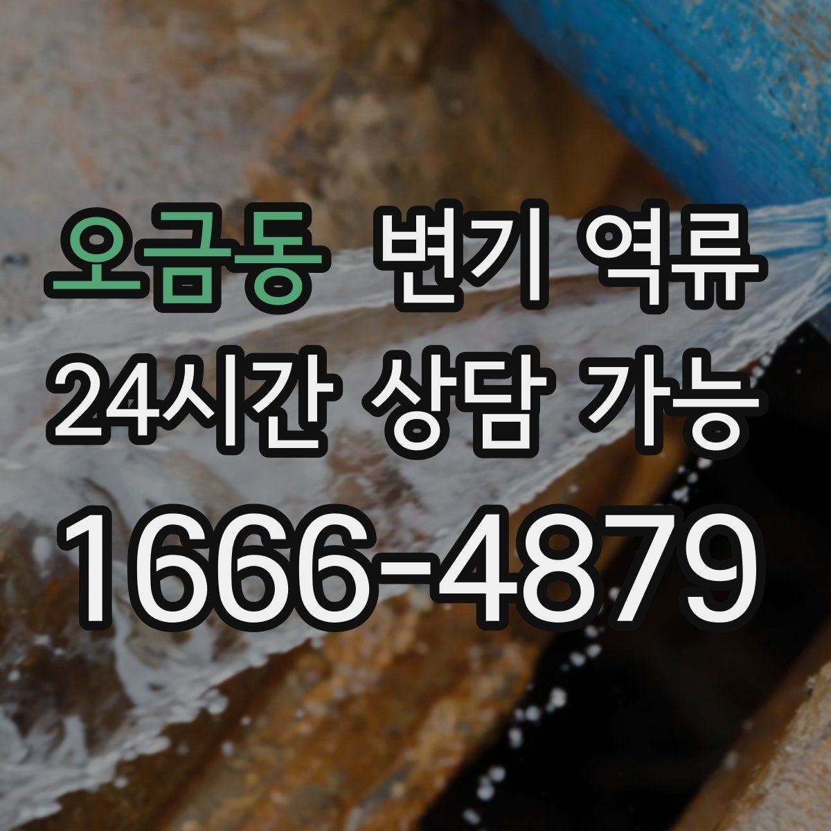 오금동 변기 역류 오염수가 섞이면 위험한 이유
