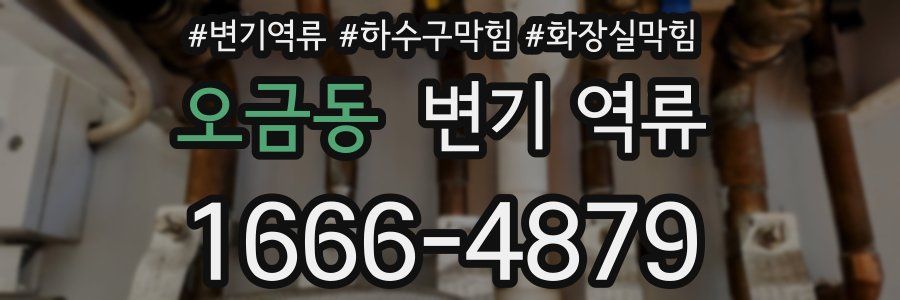 오금동 변기 역류