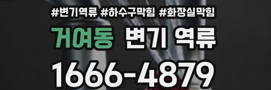 거여동 변기 역류