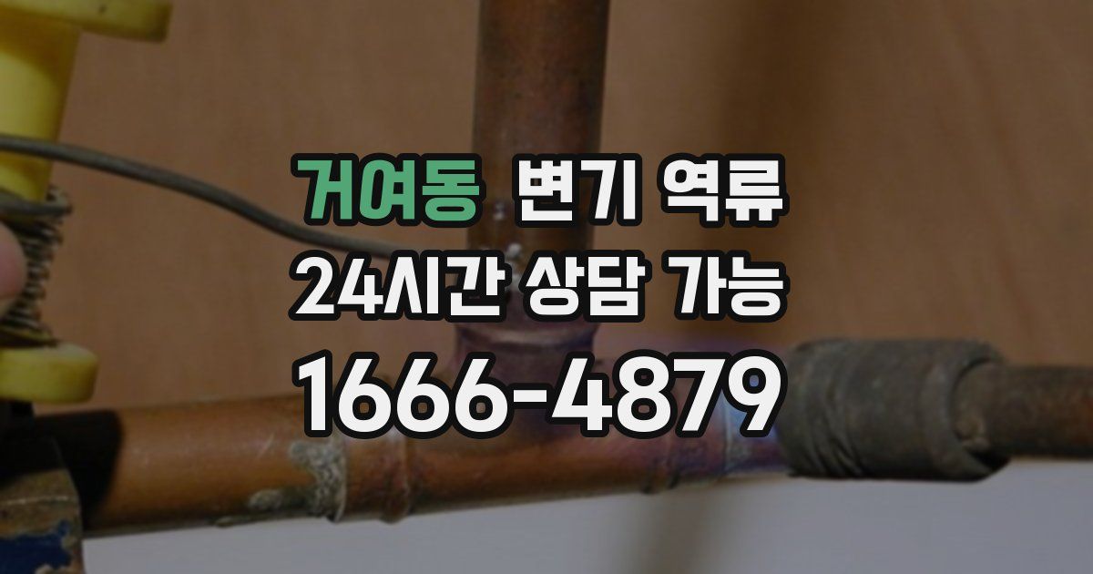 거여동 변기 역류