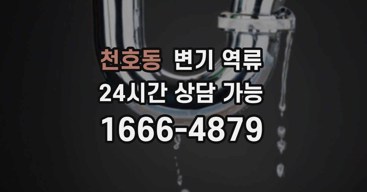 천호동 변기 역류