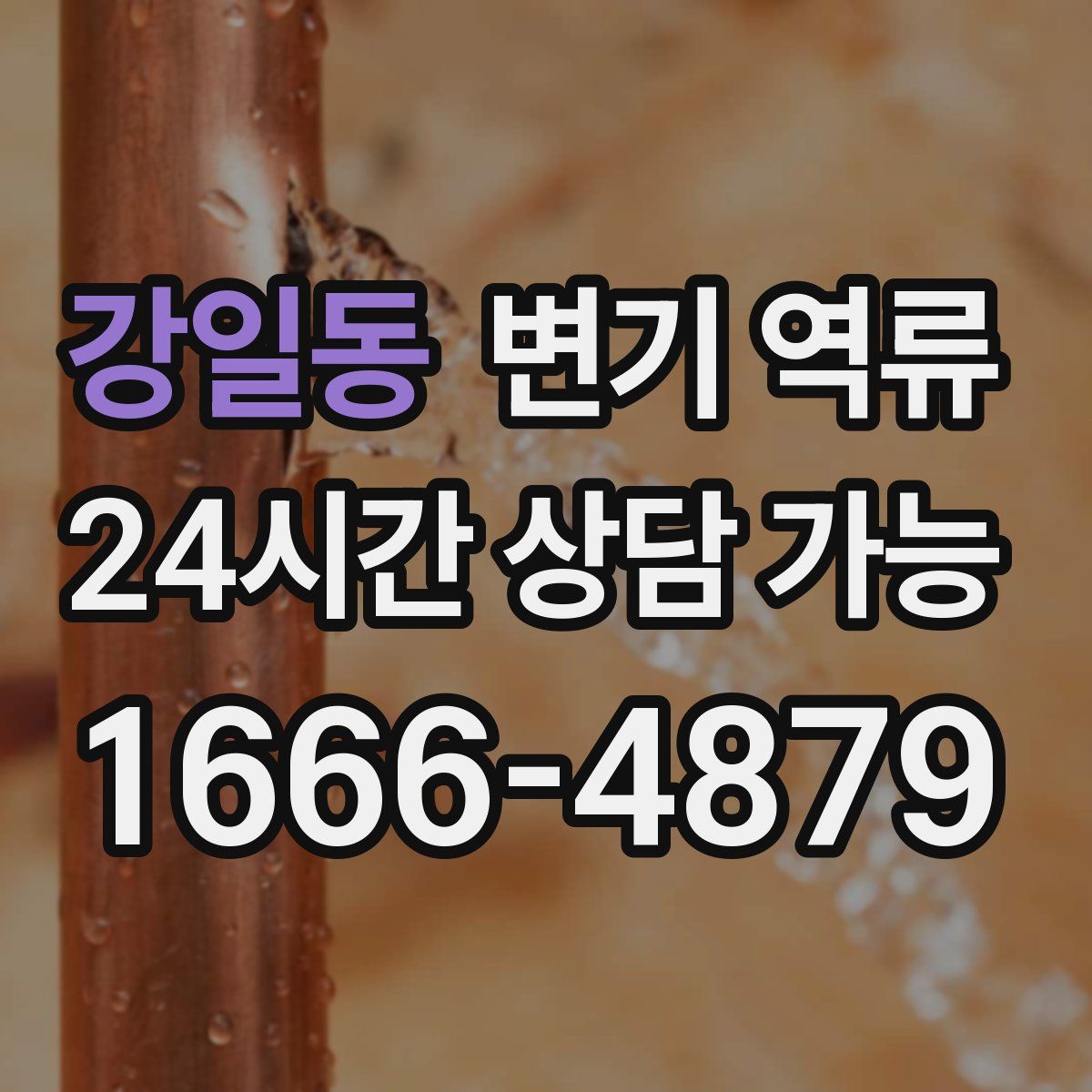 강일동 변기 역류