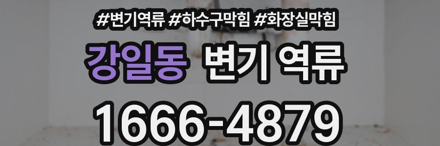 강일동 변기 역류