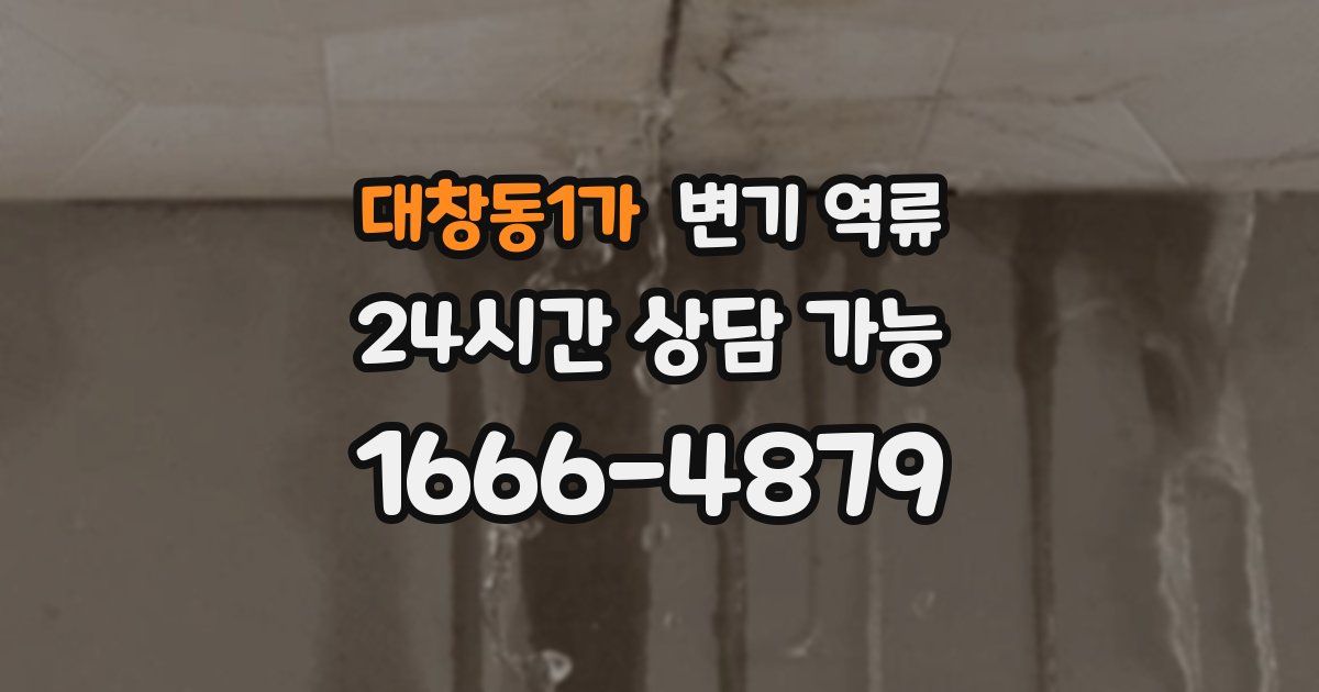 대창동1가 변기 역류