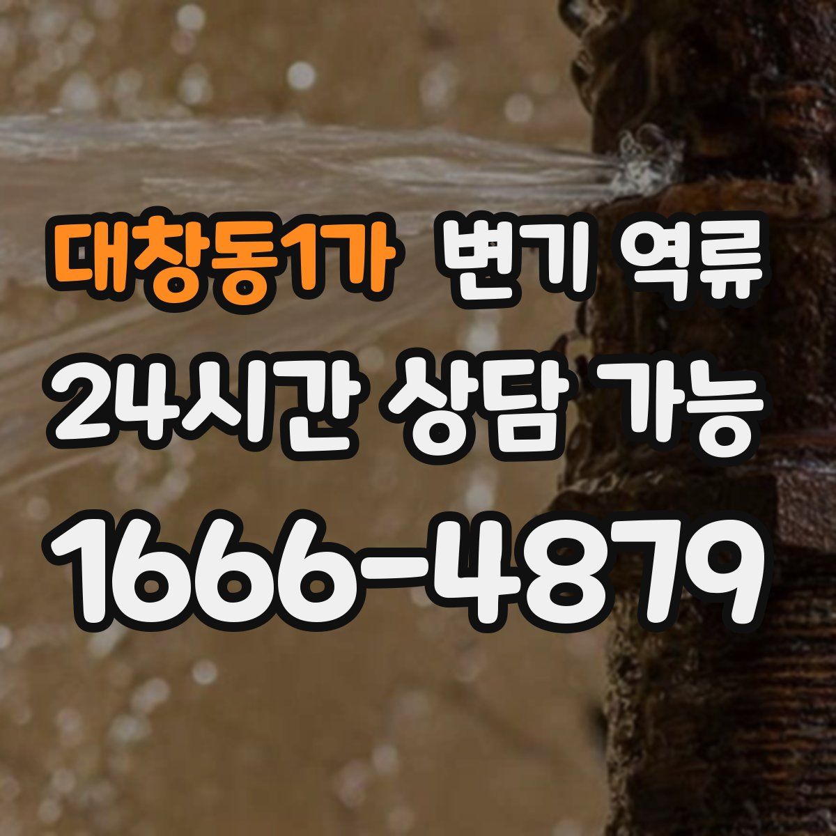 대창동1가 변기 역류