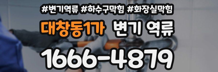대창동1가 변기 역류