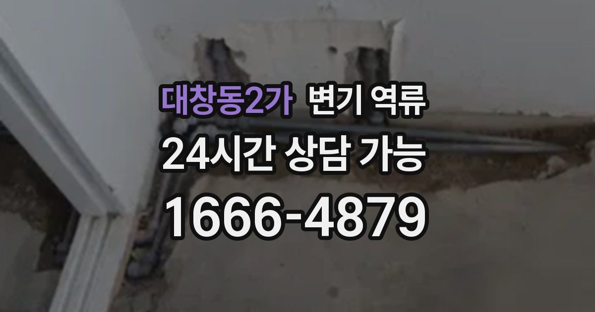 대창동2가 변기 역류