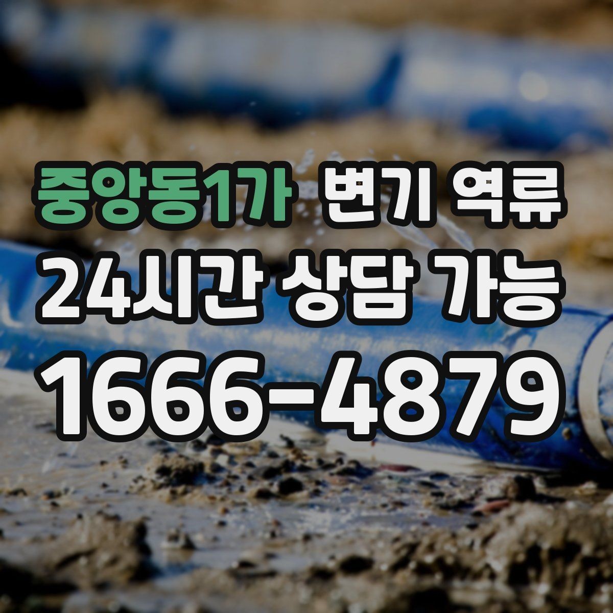 중앙동1가 변기 역류 장갑·마스크 착용이 필요한 이유