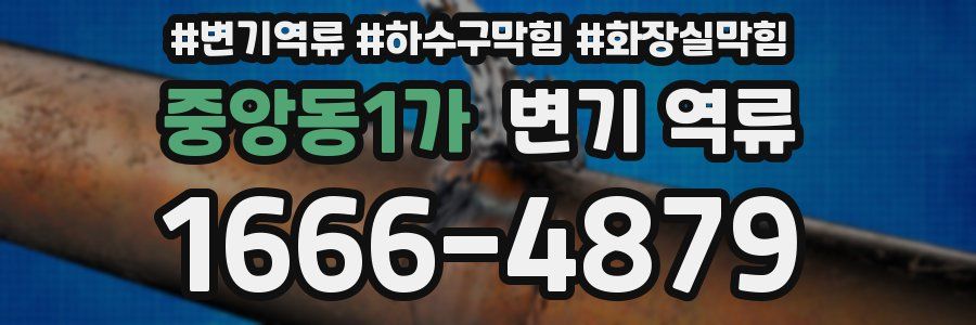 중앙동1가 변기 역류