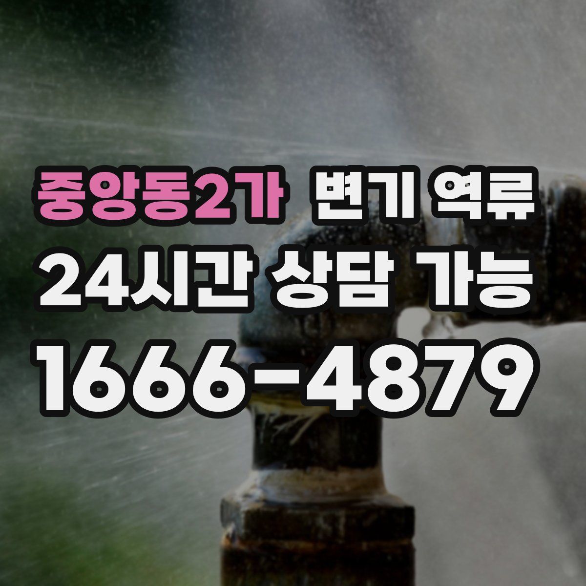 중앙동2가 변기 역류