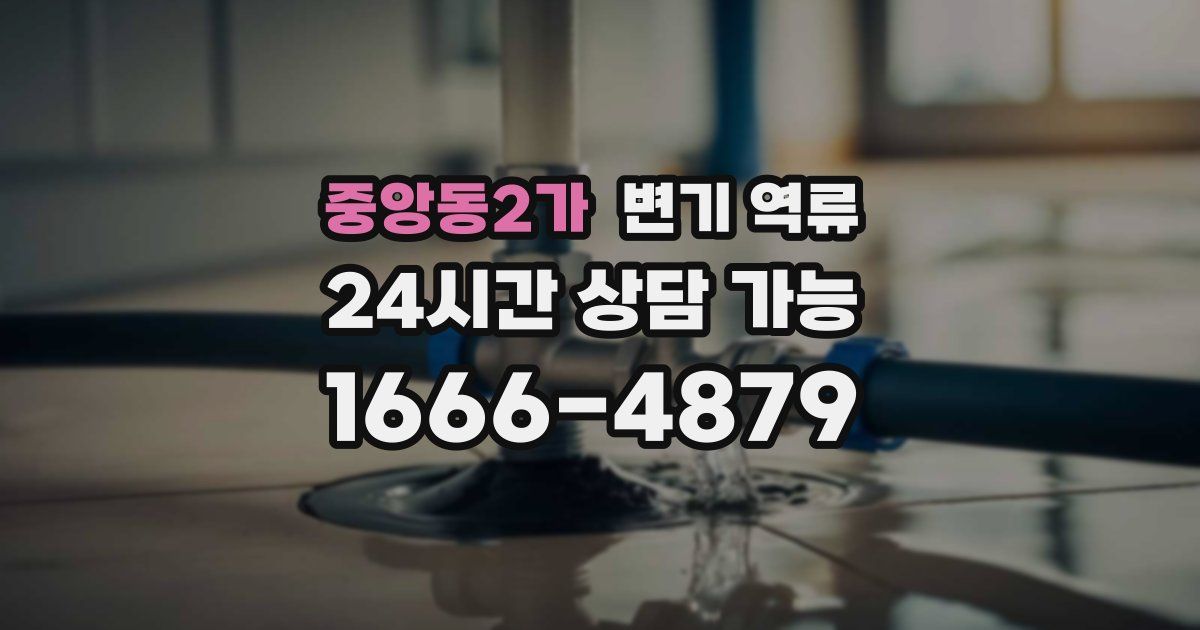 중앙동2가 변기 역류