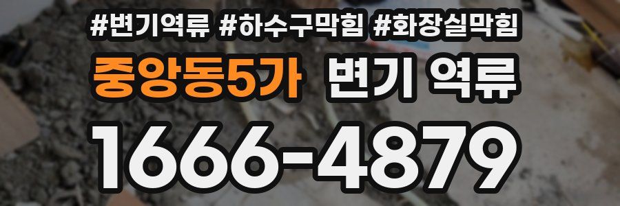 중앙동5가 변기 역류