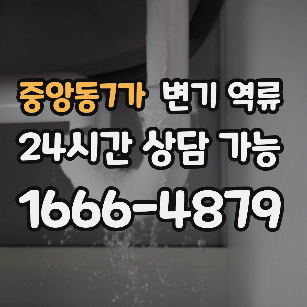 중앙동7가 변기 역류 물티슈·생리대가 위험한 이유를 쉽게 정리