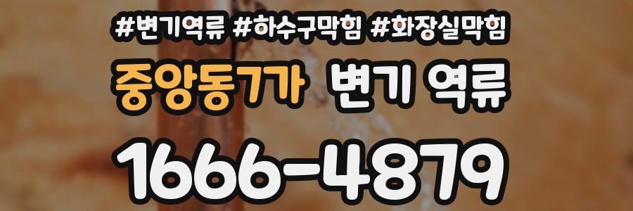 중앙동7가 변기 역류