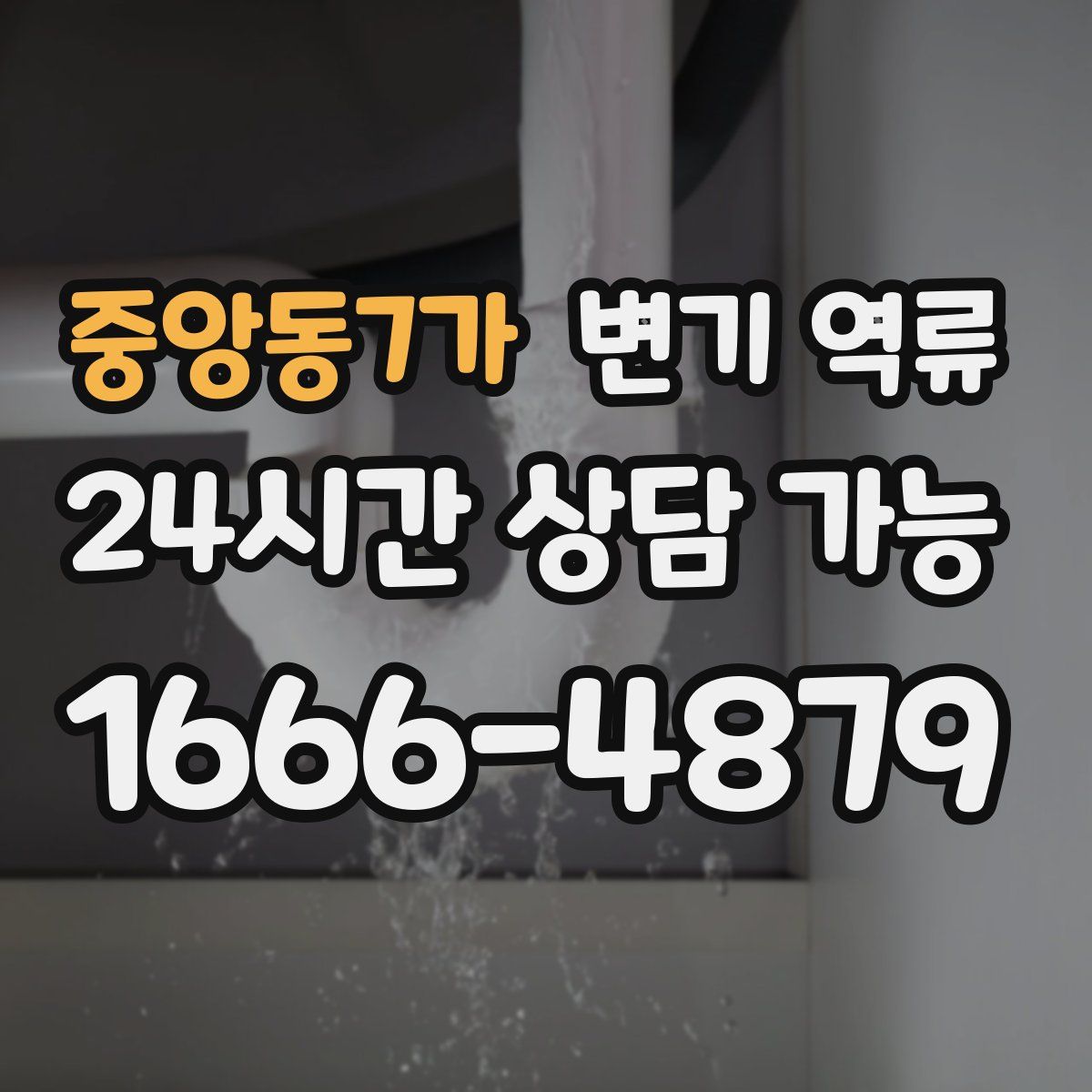 중앙동7가 변기 역류