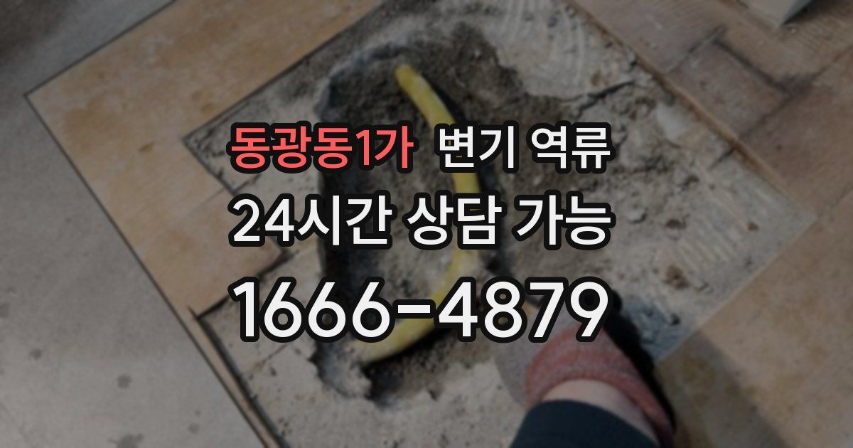 동광동1가 변기 역류