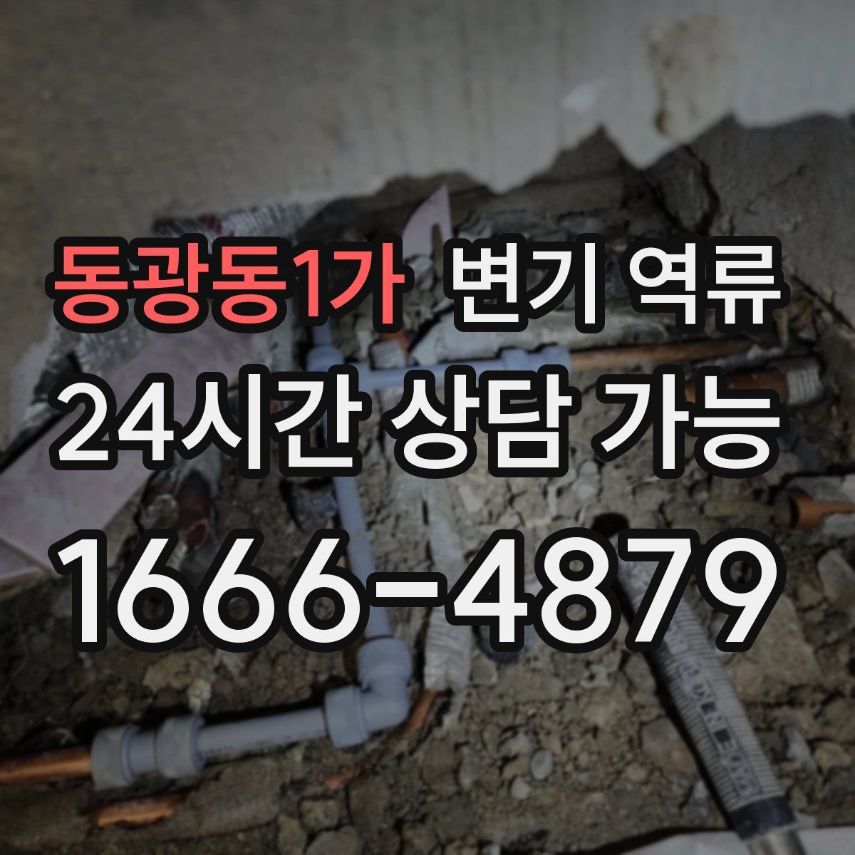 동광동1가 변기 역류