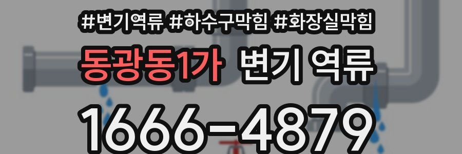 동광동1가 변기 역류