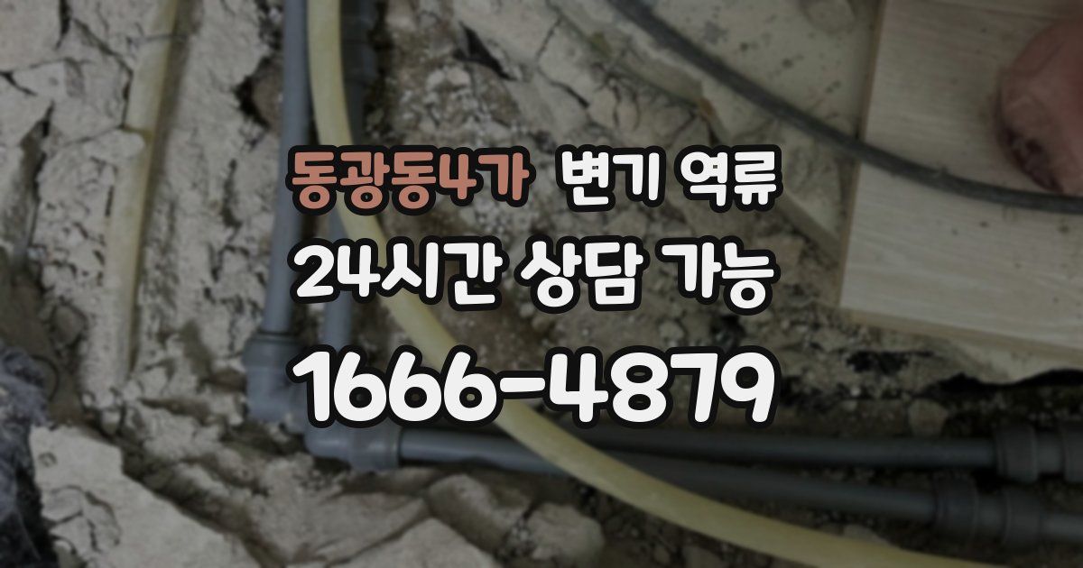 동광동4가 변기 역류
