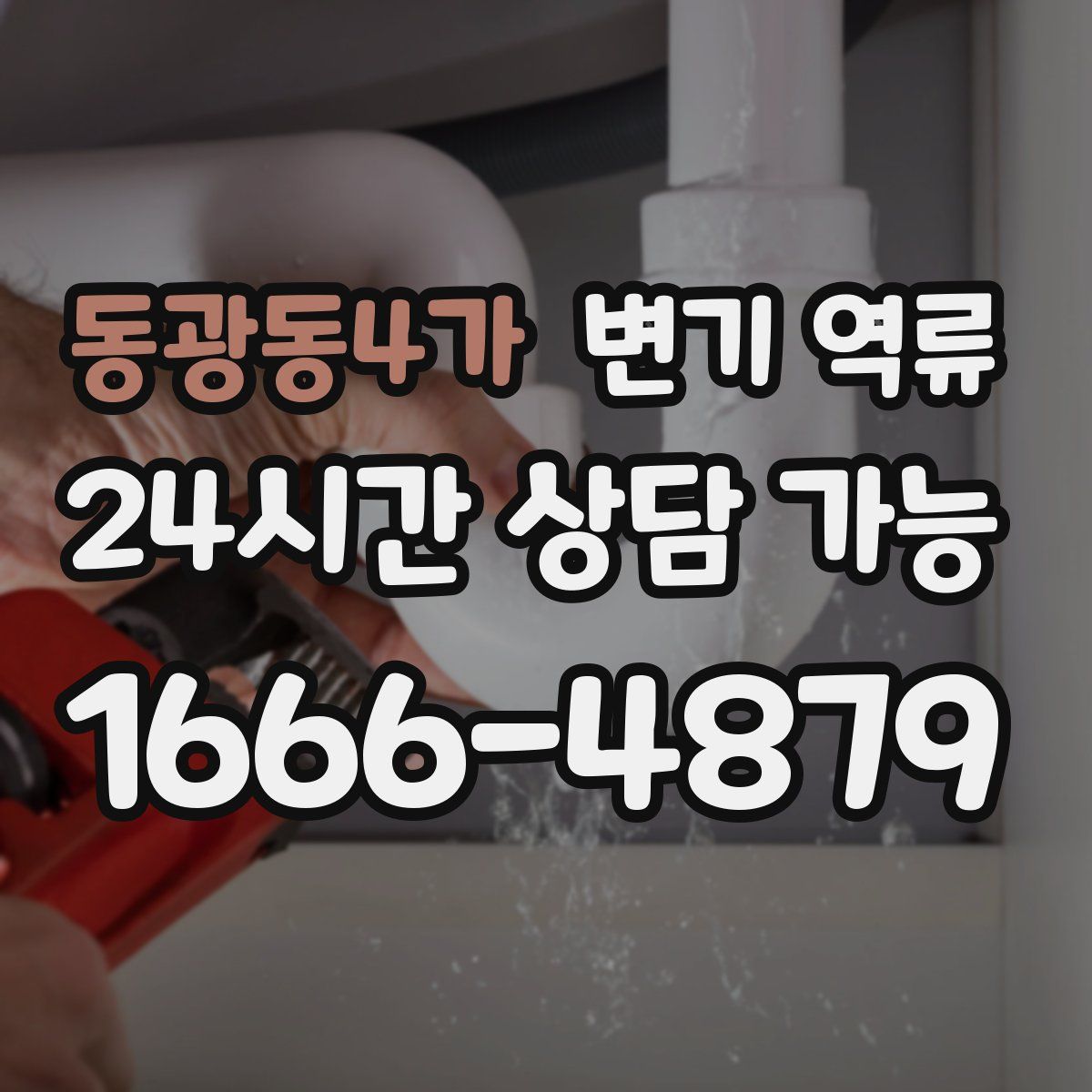 동광동4가 변기 역류