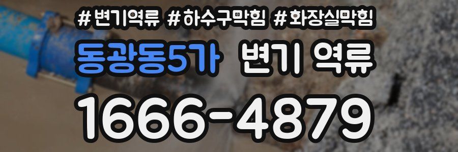 동광동5가 변기 역류