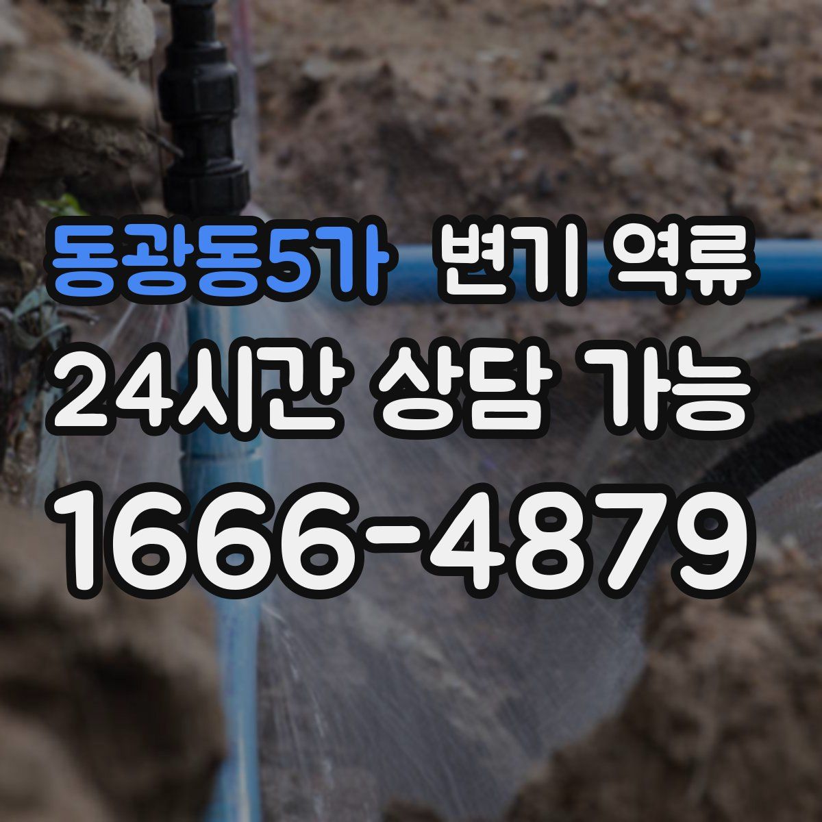 동광동5가 변기 역류